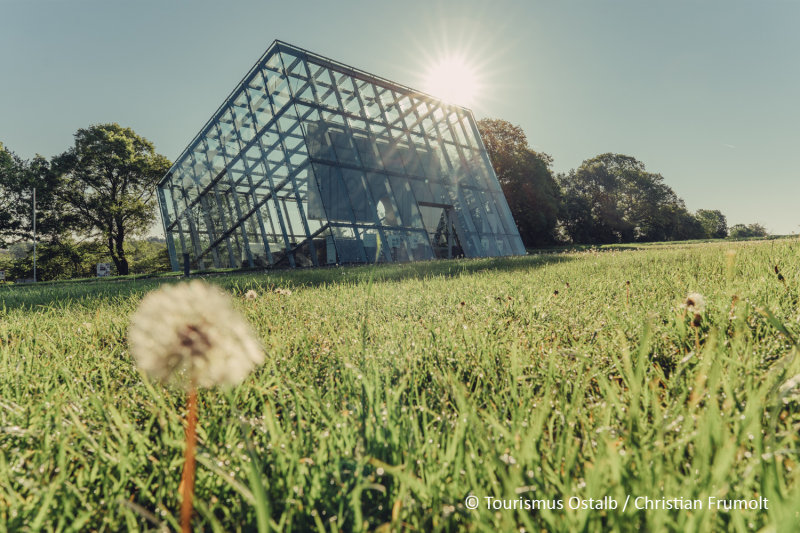 Limestor Dalkingen Wiese mit Löwenzahn, im Hintergrund Limestor Dalkingen